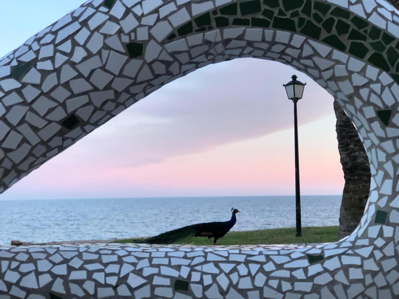 Regata Playa Daire Oropesa del Mar Dış mekan fotoğraf