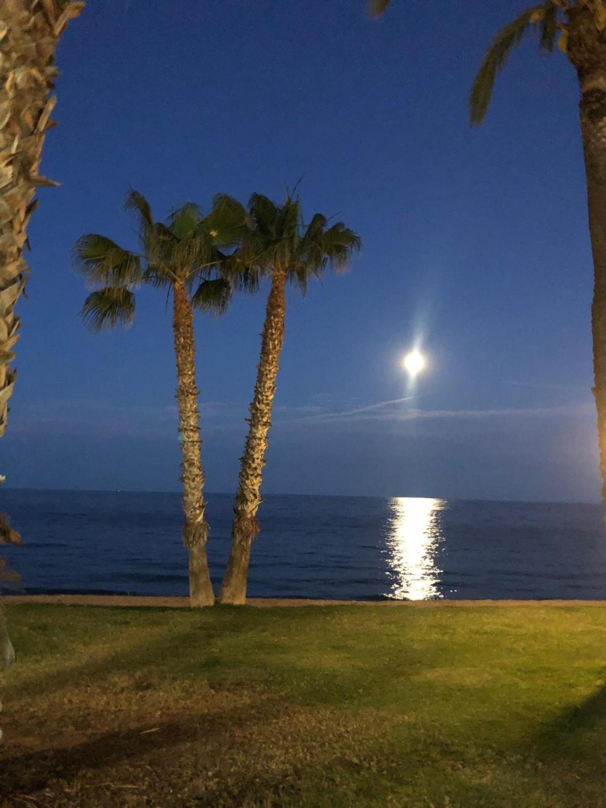 Regata Playa Daire Oropesa del Mar Dış mekan fotoğraf