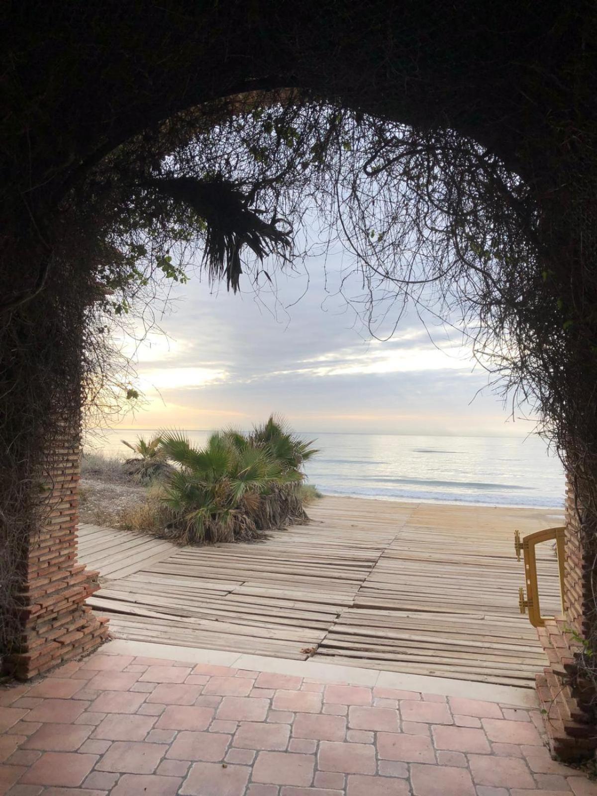 Regata Playa Daire Oropesa del Mar Dış mekan fotoğraf