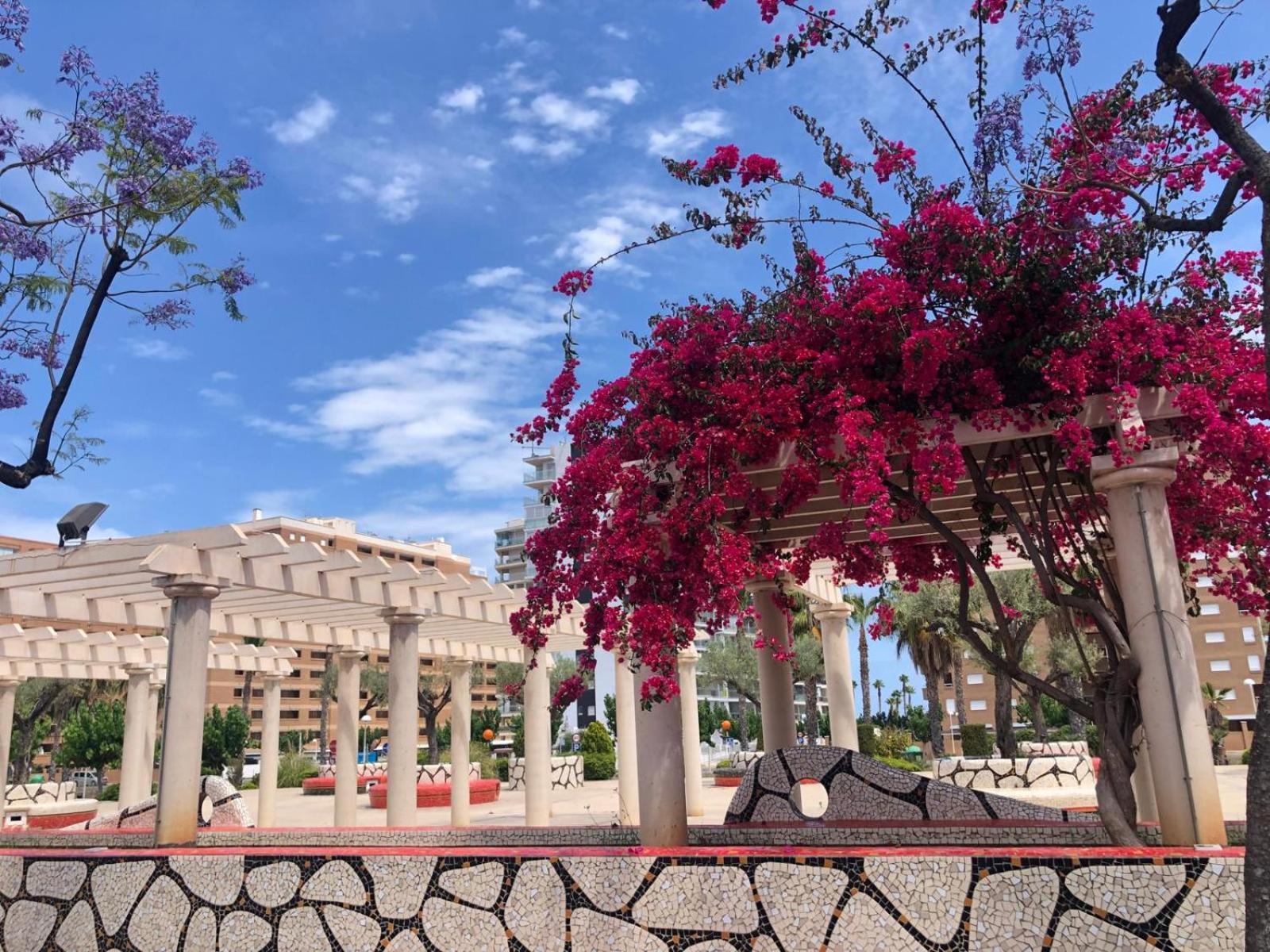 Regata Playa Daire Oropesa del Mar Dış mekan fotoğraf